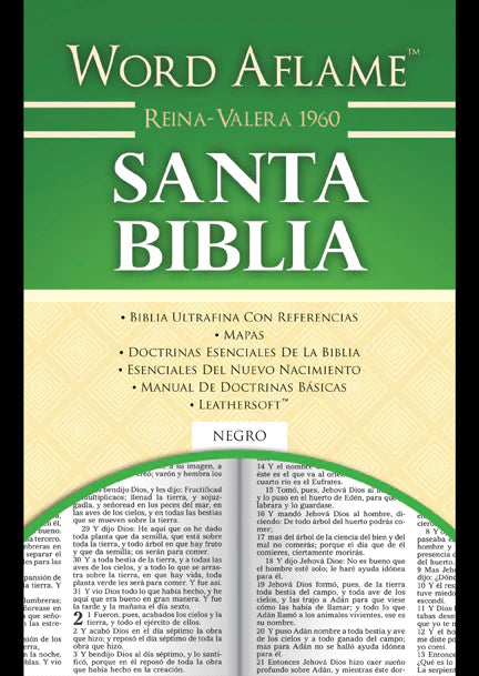 World Alfame Santa Biblia