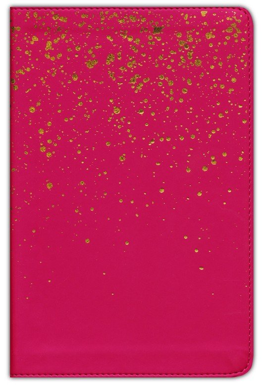 Holman Kids Bible Pink With Gold Pages