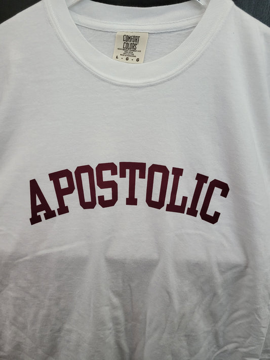 ACA T-Shirt "Apostolic"