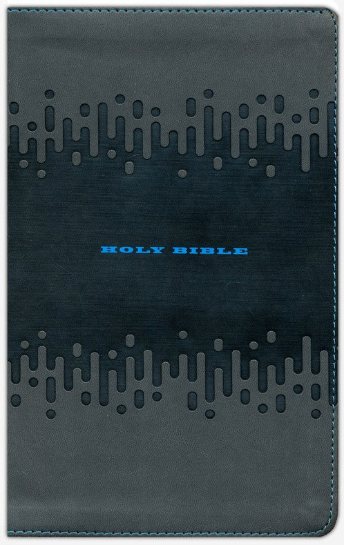 KJV Bible For Kids Charcoal