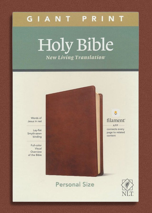 Holy Bible Giant Print Personal Size