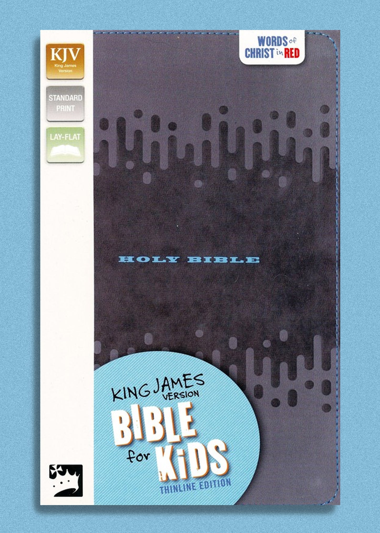 KJV Bible For Kids Charcoal