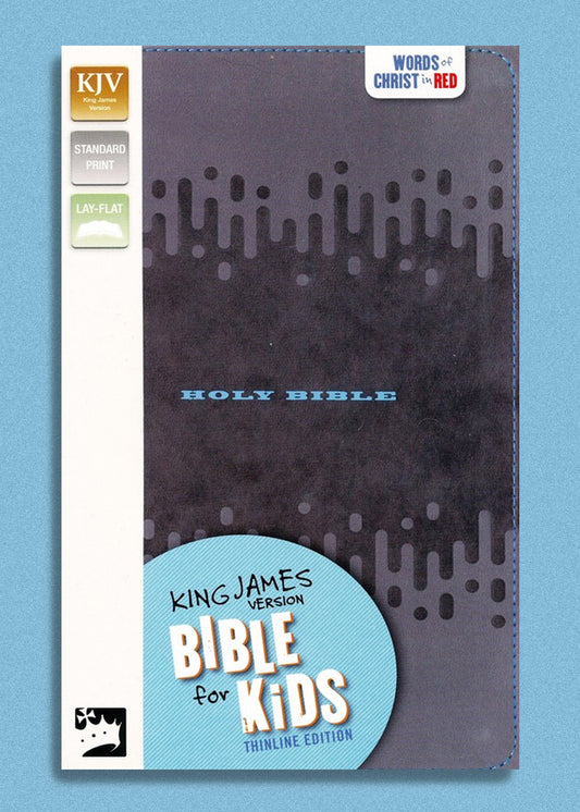 KJV Bible For Kids Charcoal