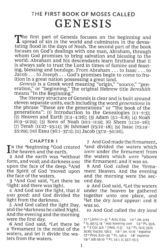 Super Giant Print Deluxe Reference Bible