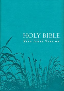 The Holy Bible (KJV)  Deluxe Gift Bible  Teal with zipper